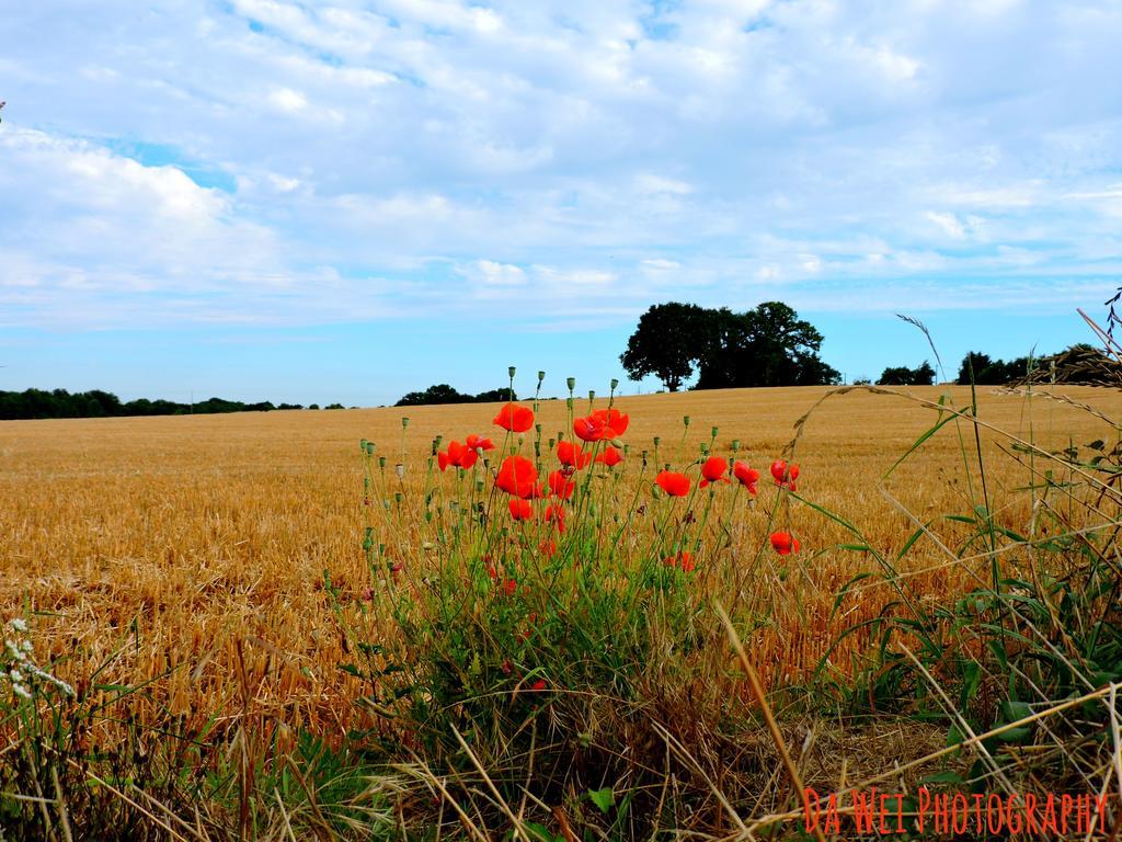 Gite Dans Les Alpes Mancelles Gesnes-le-Gandelin Exterior foto