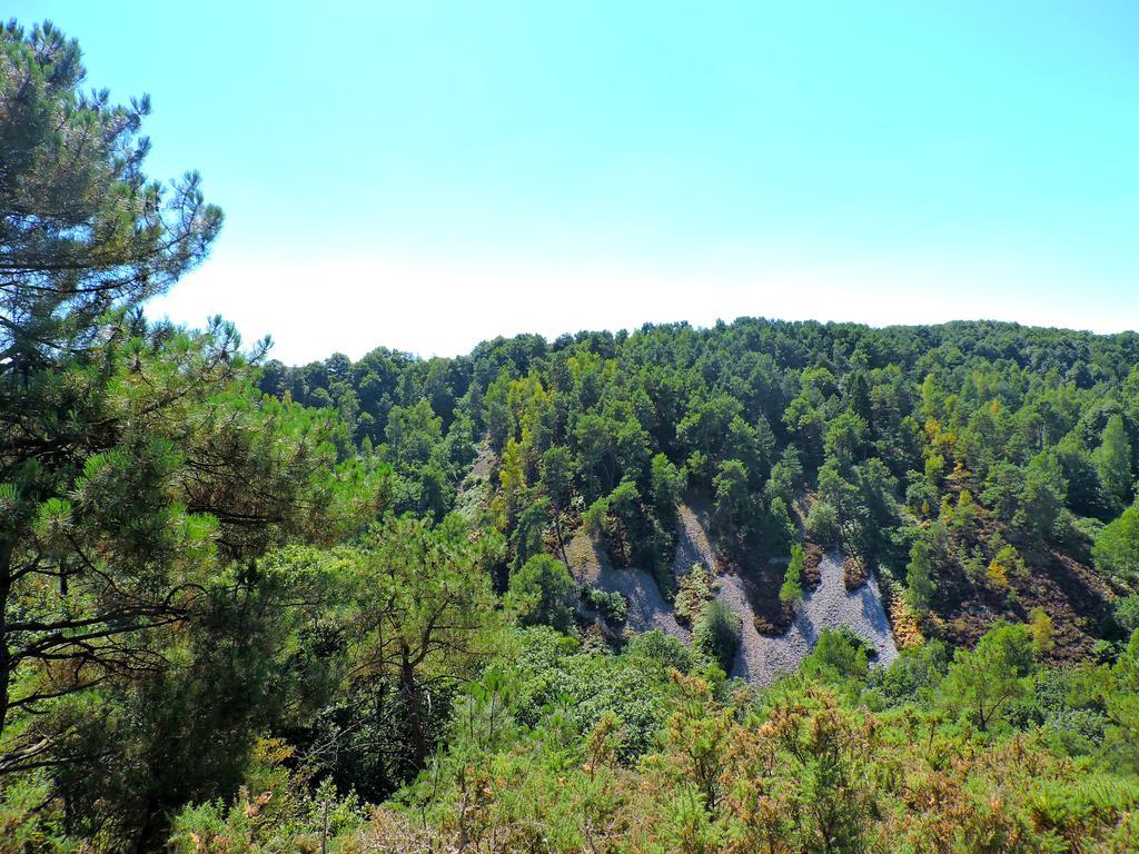 Gite Dans Les Alpes Mancelles Gesnes-le-Gandelin Exterior foto